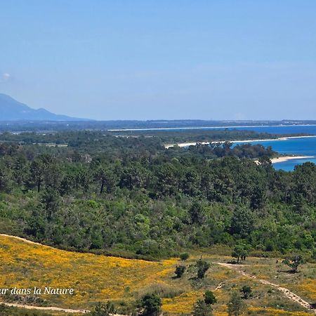 Gite L'Appart De Case Vanille Sari-Solenzara Buitenkant foto