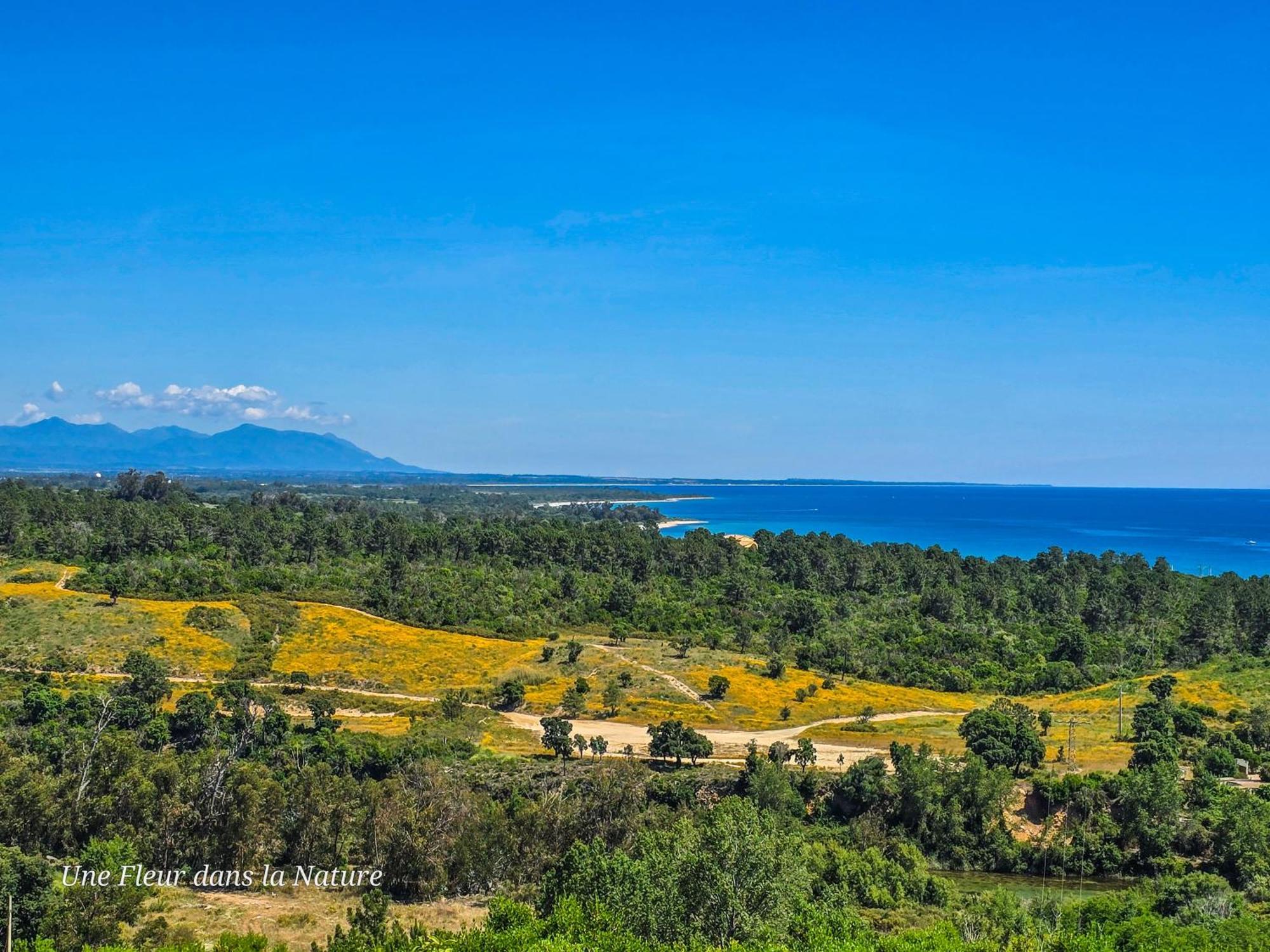 Gite L'Appart De Case Vanille Sari-Solenzara Buitenkant foto