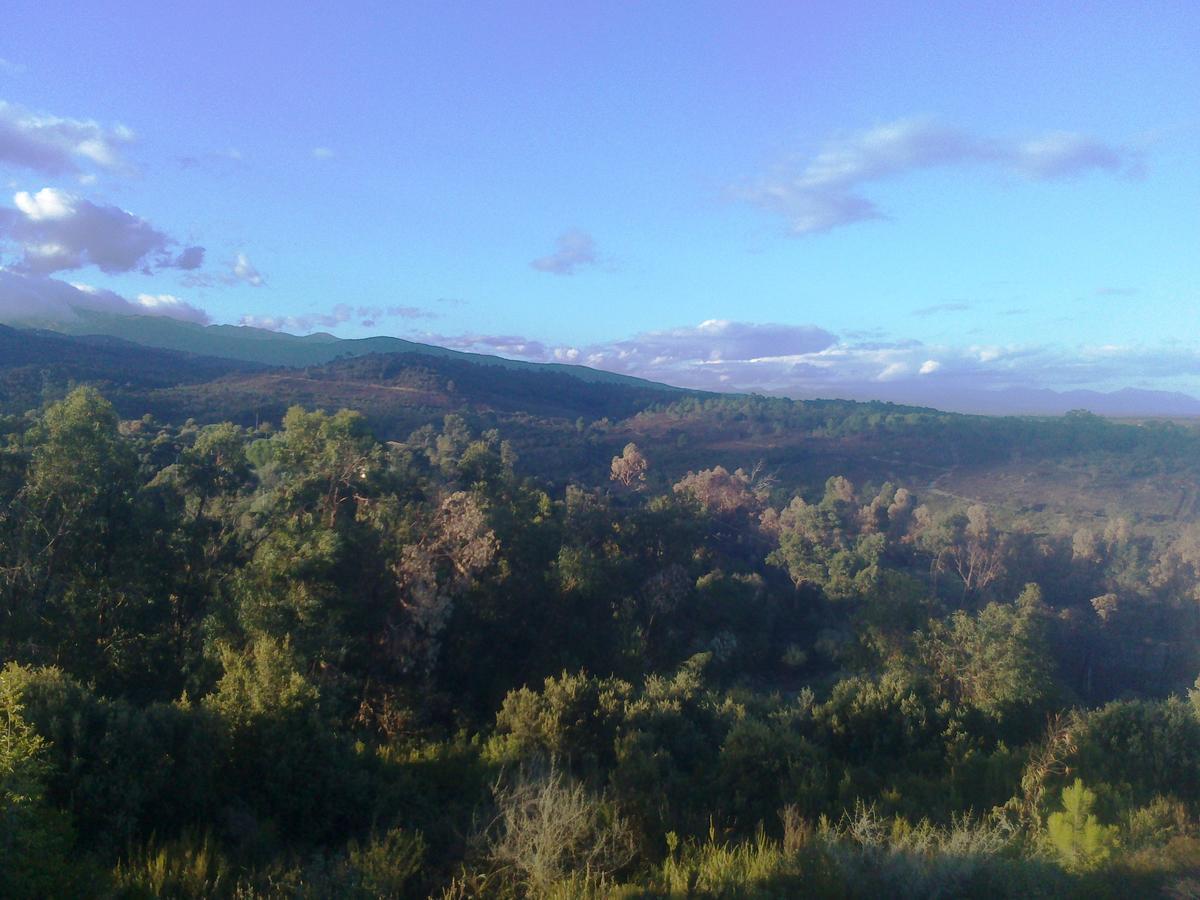 Gite L'Appart De Case Vanille Sari-Solenzara Buitenkant foto